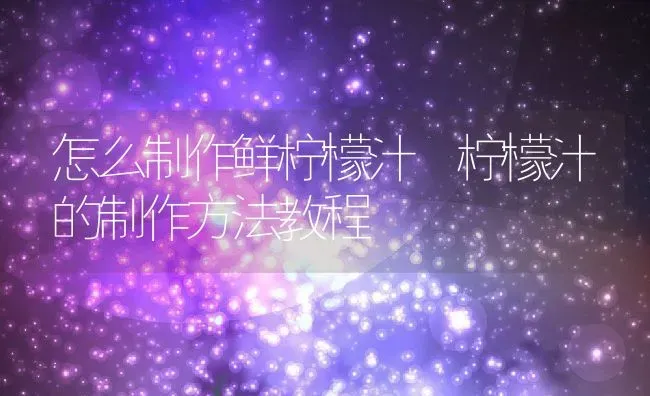 怎么制作鲜柠檬汁 柠檬汁的制作方法教程 | 养殖资料投稿