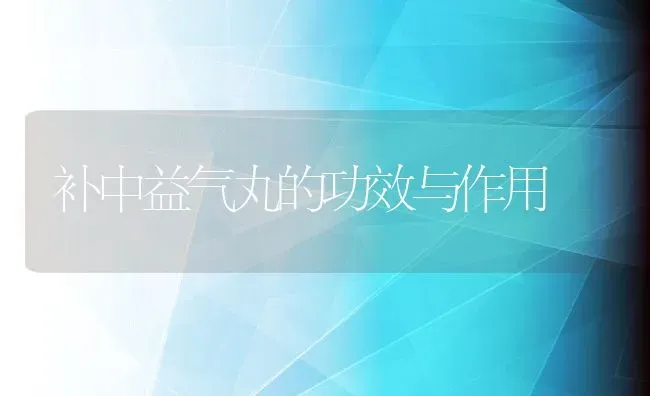 补中益气丸的功效与作用 | 养殖资料投稿