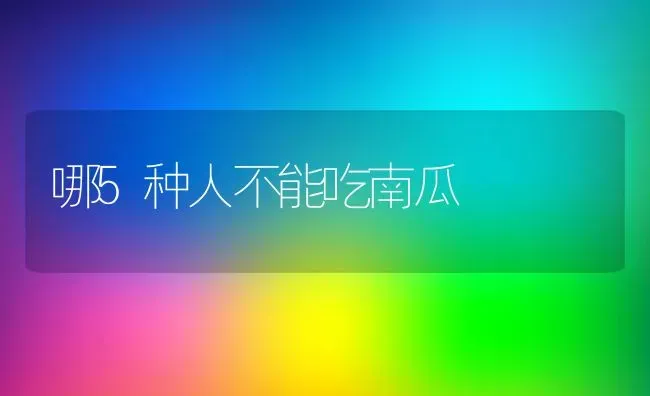 哪5种人不能吃南瓜 | 养殖资料投稿