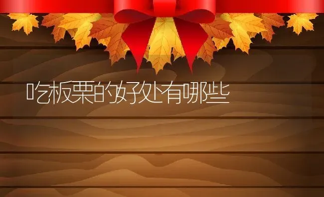 吃板栗的好处有哪些 | 养殖资料投稿