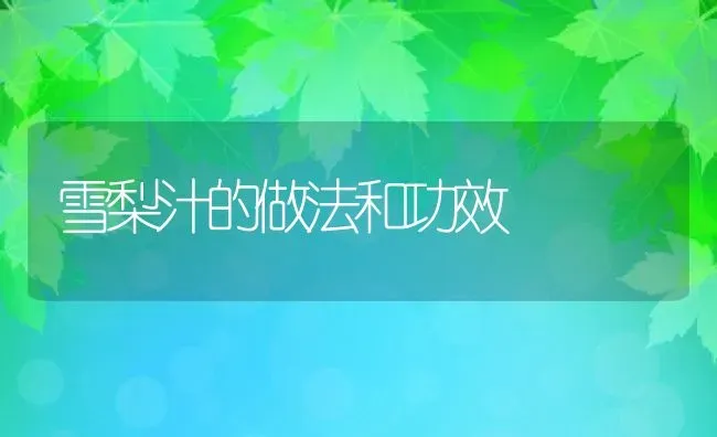 雪梨汁的做法和功效 | 养殖资料投稿