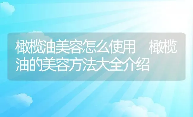 橄榄油美容怎么使用 橄榄油的美容方法大全介绍 | 养殖资料投稿