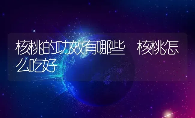 核桃的功效有哪些 核桃怎么吃好 | 养殖资料投稿
