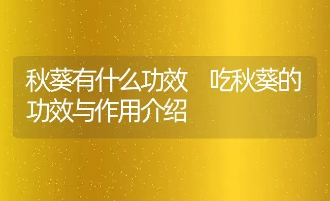 秋葵有什么功效 吃秋葵的功效与作用介绍 | 养殖资料投稿