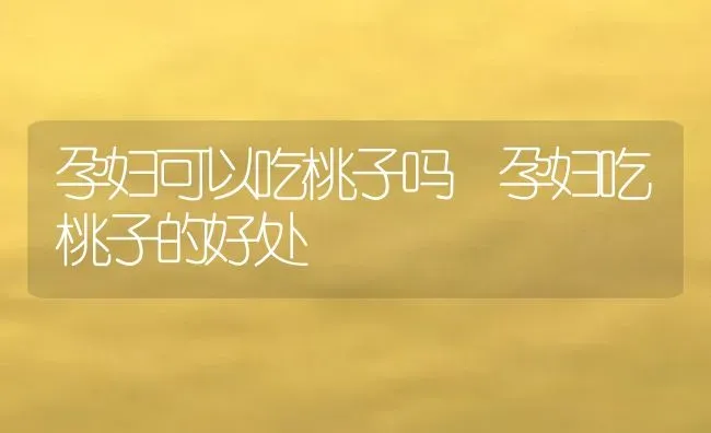 孕妇可以吃桃子吗 孕妇吃桃子的好处 | 养殖资料投稿
