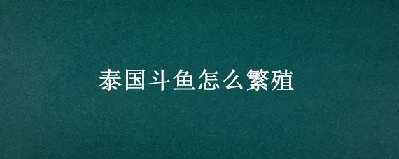 泰国斗鱼怎么繁殖