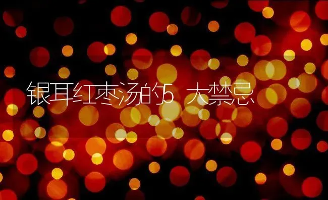 银耳红枣汤的5大禁忌 | 养殖资料投稿