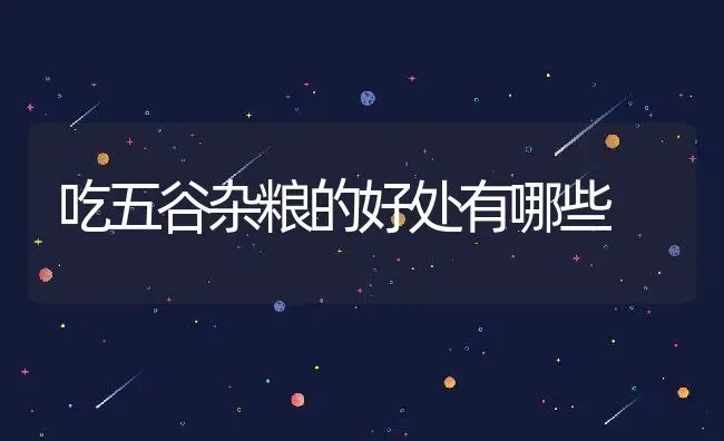 吃五谷杂粮的好处有哪些 | 养殖资讯