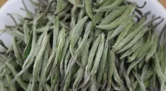 政和白茶和福鼎白茶的区别 白茶的作用