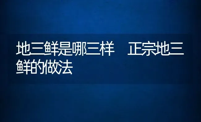 地三鲜是哪三样 正宗地三鲜的做法 | 养殖资料投稿