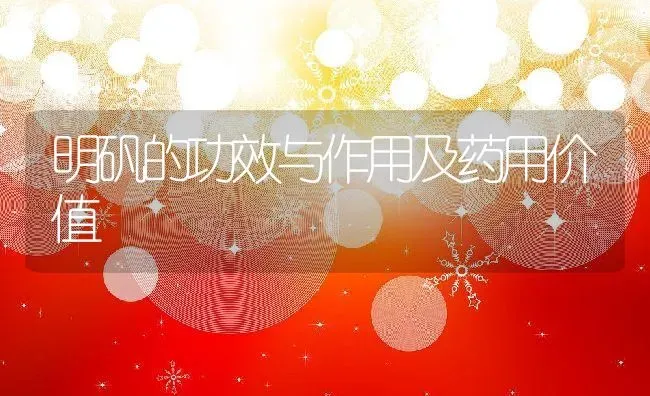 明矾的功效与作用及药用价值 | 养殖资料投稿