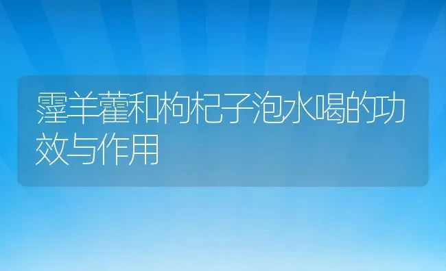 霪羊藿和枸杞子泡水喝的功效与作用 | 养殖资料投稿