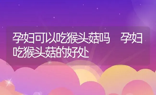 孕妇可以吃猴头菇吗 孕妇吃猴头菇的好处 | 养殖资料投稿