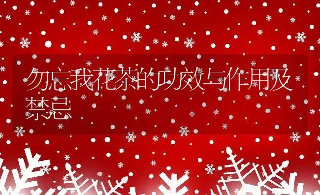 勿忘我花茶的功效与作用及禁忌 | 养殖资料投稿