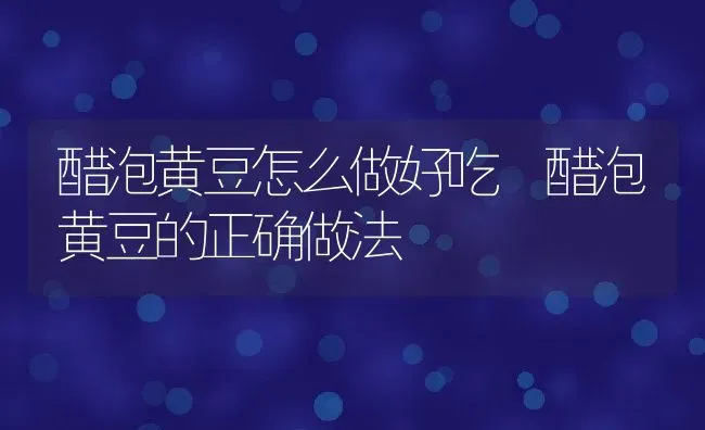 醋泡黄豆怎么做好吃 醋泡黄豆的正确做法 | 养殖资料投稿