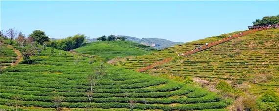 大田作物轮作换茬的好处