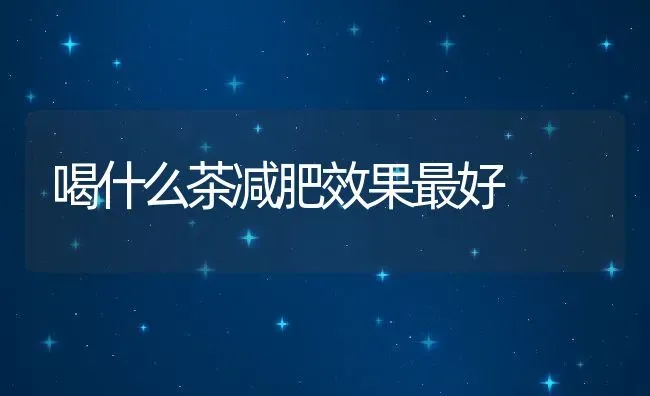 喝什么茶减肥效果最好 | 养殖资料投稿