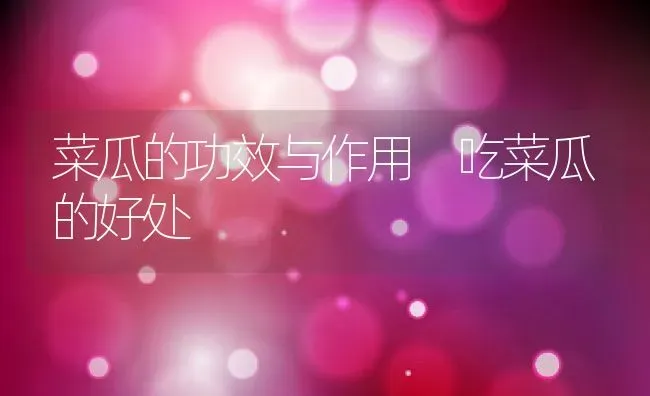 菜瓜的功效与作用 吃菜瓜的好处 | 养殖资料投稿