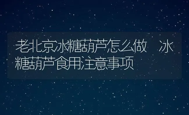 老北京冰糖葫芦怎么做 冰糖葫芦食用注意事项 | 养殖资料投稿