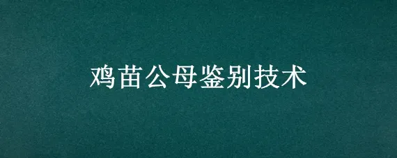 鸡苗公母鉴别技术