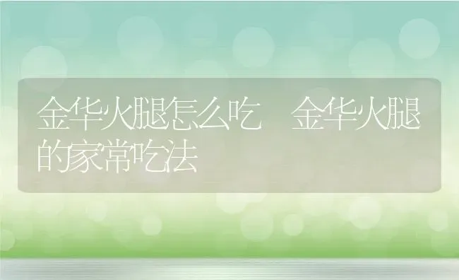 金华火腿怎么吃 金华火腿的家常吃法 | 养殖资料投稿