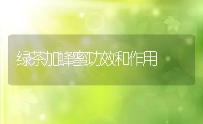 绿茶加蜂蜜功效和作用 | 养殖资料投稿
