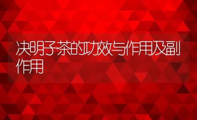 决明子茶的功效与作用及副作用 | 养殖资料投稿