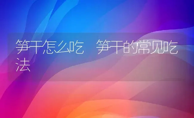 笋干怎么吃 笋干的常见吃法 | 养殖资料投稿