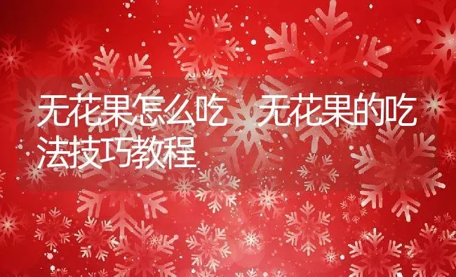 无花果怎么吃 无花果的吃法技巧教程 | 养殖资料投稿