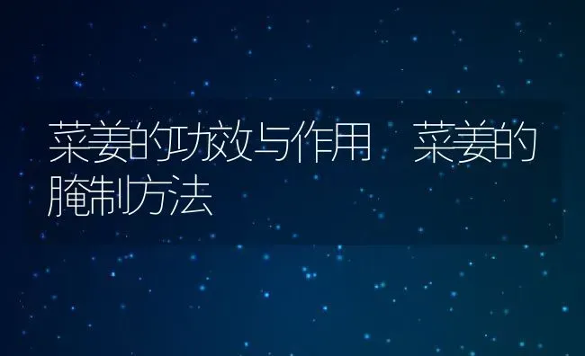 菜姜的功效与作用 菜姜的腌制方法 | 养殖资料投稿