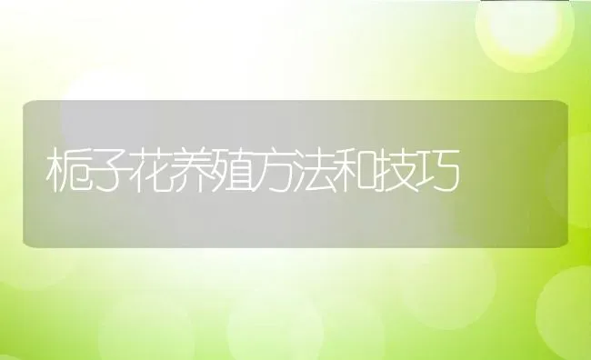 栀子花养殖方法和技巧 | 养殖资料投稿