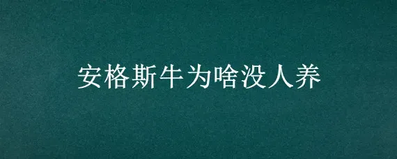 安格斯牛为啥没人养