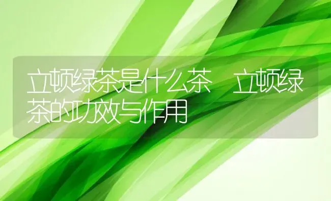 立顿绿茶是什么茶 立顿绿茶的功效与作用 | 养殖资料投稿