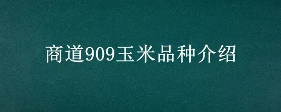 商道909玉米品种介绍