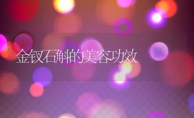 金钗石斛的美容功效 | 养殖资料投稿