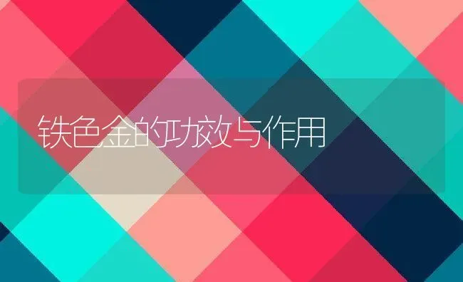 铁色金的功效与作用 | 养殖资料投稿