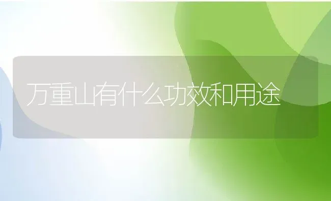 万重山有什么功效和用途 | 养殖资料投稿