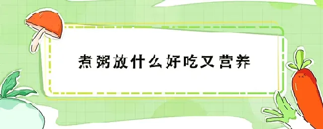 煮粥放什么好吃又营养