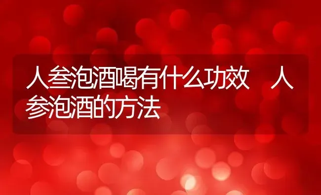 人叁泡酒喝有什么功效 人参泡酒的方法 | 养殖资料投稿