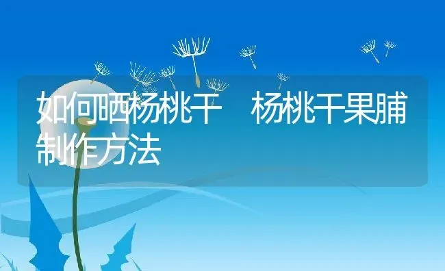 如何晒杨桃干 杨桃干果脯制作方法 | 养殖资料投稿