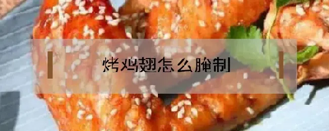烤鸡翅怎么腌制？推荐2个口味