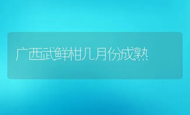 广西武鲜柑几月份成熟 | 养殖资讯