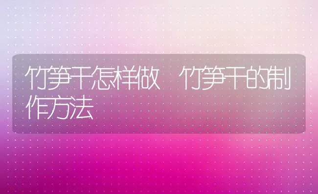 竹笋干怎样做 竹笋干的制作方法 | 养殖资料投稿