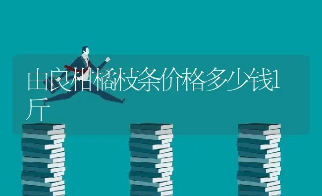 由良柑橘枝条价格多少钱1斤 | 养殖资讯