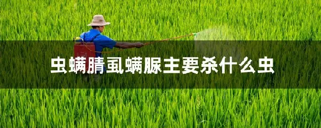 虫螨腈虱螨脲主要杀什么虫