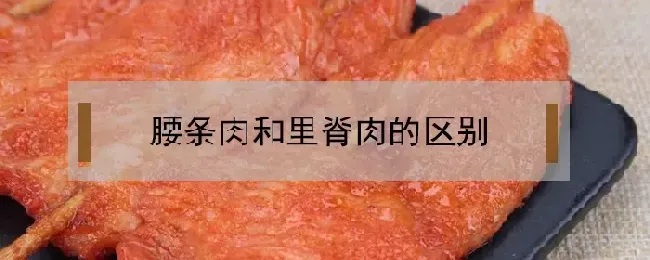 腰条肉和里脊肉的区别