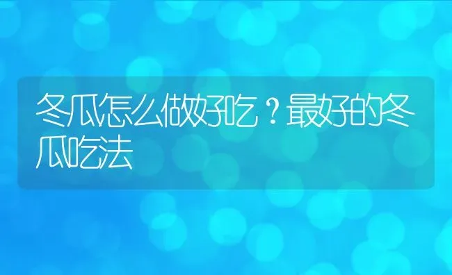 冬瓜怎么做好吃？最好的冬瓜吃法 | 养殖资料投稿