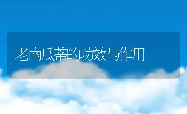 毛峰茶的功效和产地 | 养殖资料投稿