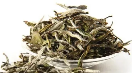 政和白茶和福鼎白茶的区别 白茶的作用