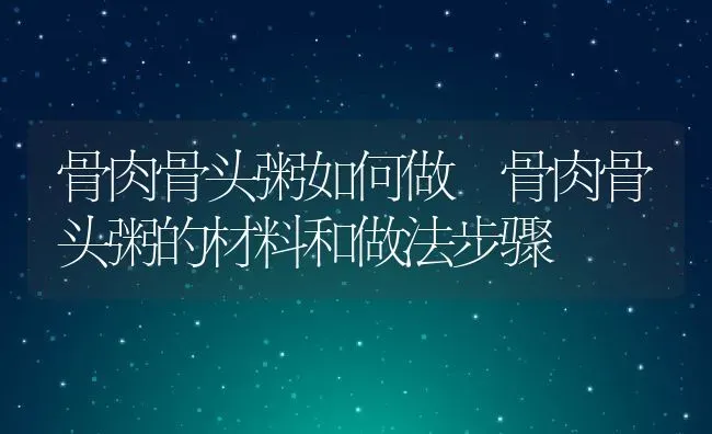 骨肉骨头粥如何做 骨肉骨头粥的材料和做法步骤 | 养殖资讯